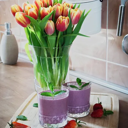 شقة Ana 10 Min. Hoda Od Centra Trogira تروغير