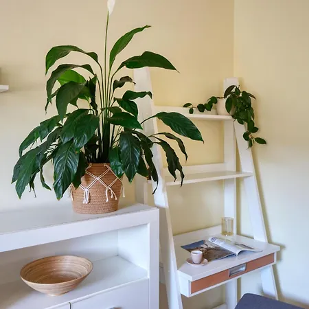 Ana 10 Min. Hoda Od Centra Trogira * تروغير