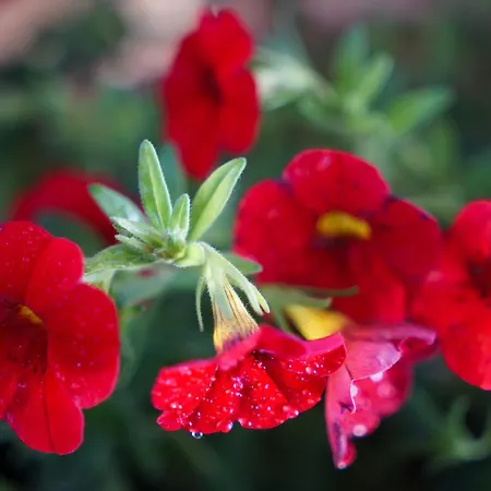 Ana 10 Min. Hoda Od Centra Trogira شقة *
