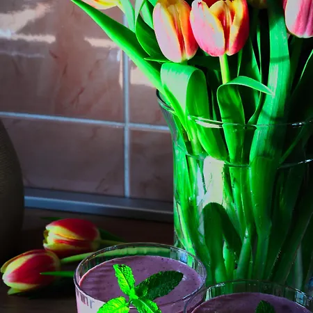 Ana 10 Min. Hoda Od Centra Trogira Appartement *