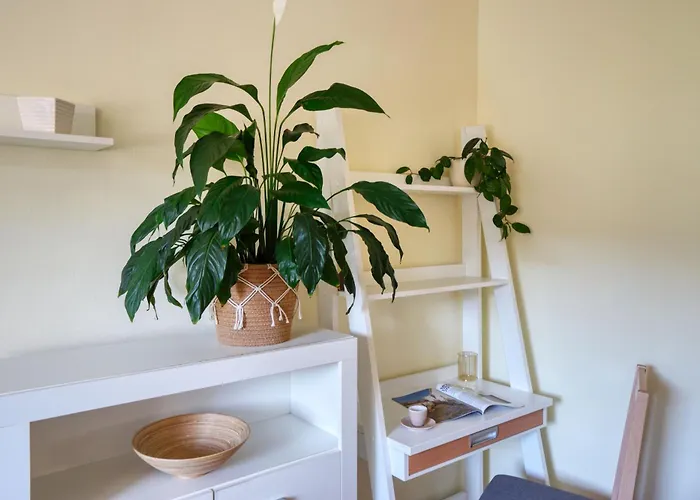 Ana 10 Min. Hoda Od Centra Trogira * Trogir